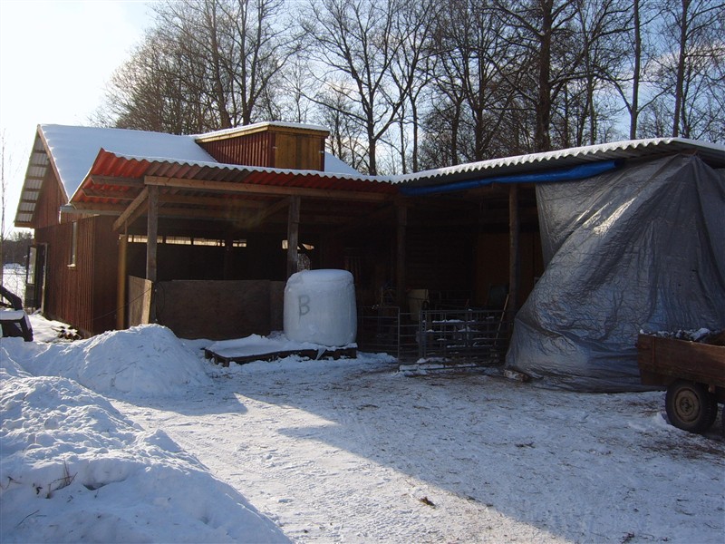 SUC52135.JPG